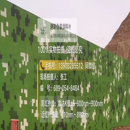 黑龙江专业承接园区围墙迷彩喷涂、